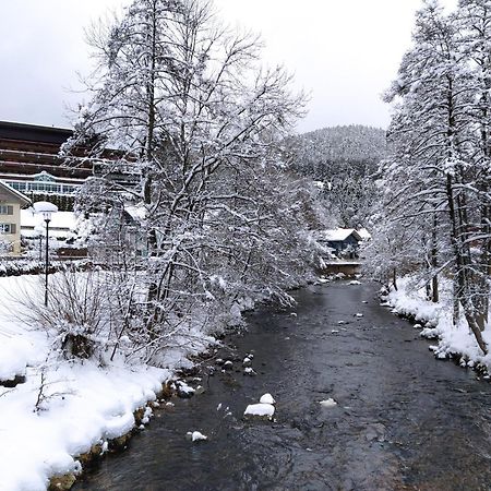 Ferienwohnung, Sauna & Gaestekarte Gratis Im Schwarzwald Baiersbronn Exterior foto