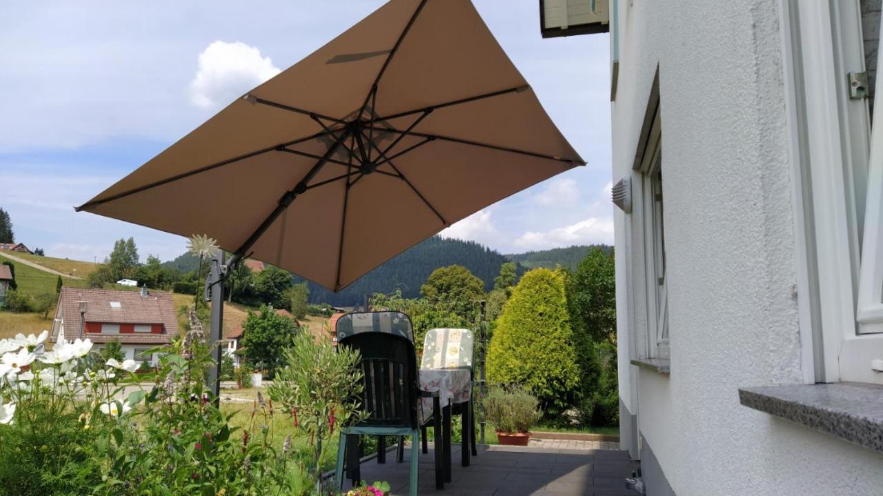 Ferienwohnung, Sauna & Gaestekarte Gratis Im Schwarzwald Baiersbronn Exterior foto