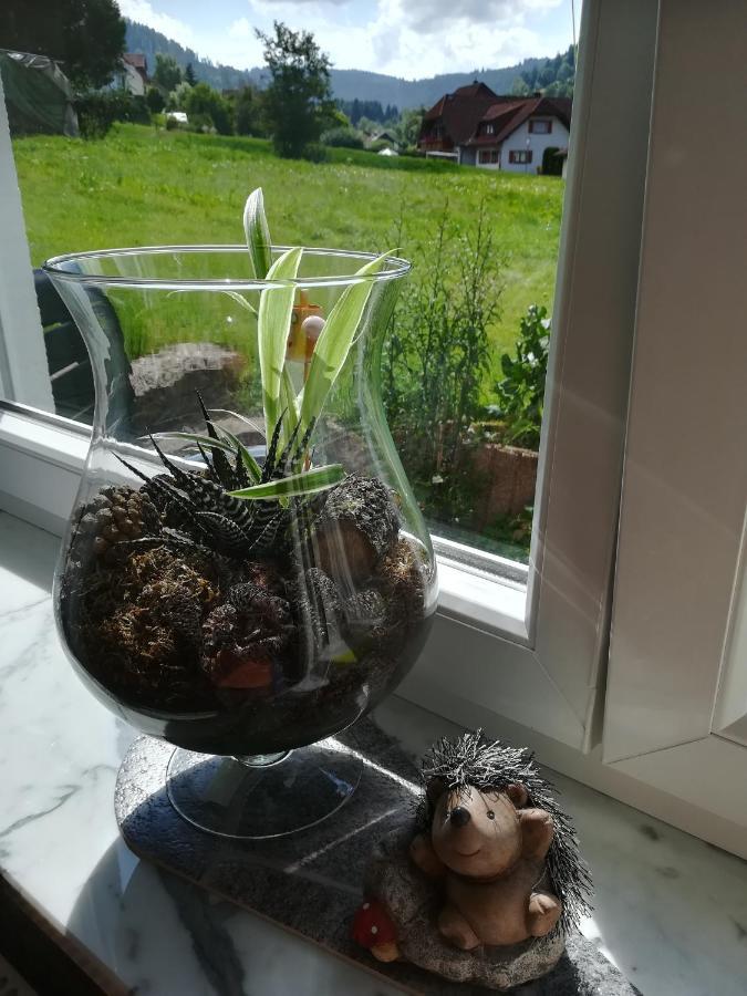 Ferienwohnung, Sauna & Gaestekarte Gratis Im Schwarzwald Baiersbronn Exterior foto