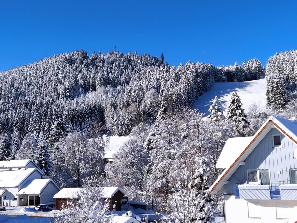 Ferienwohnung, Sauna & Gaestekarte Gratis Im Schwarzwald Baiersbronn Exterior foto