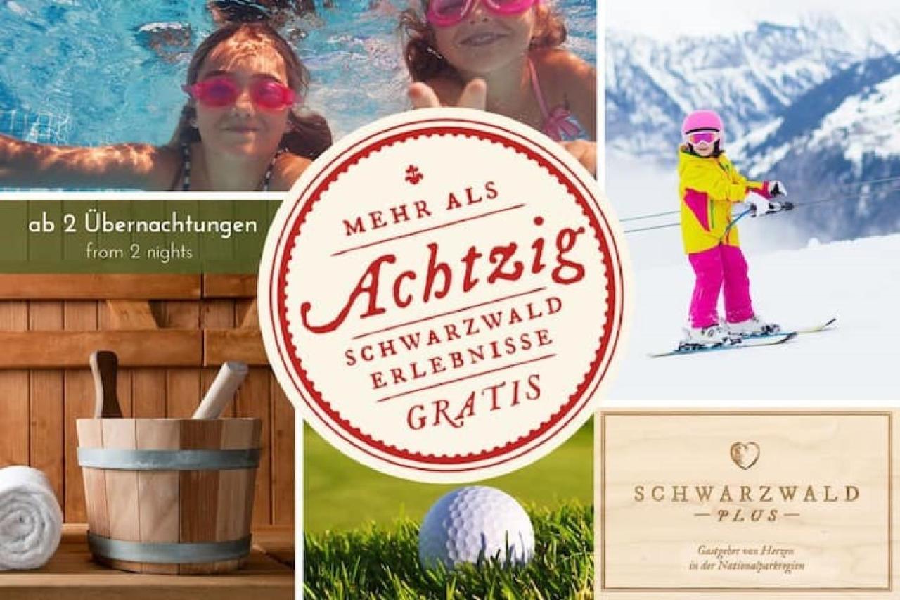 Ferienwohnung, Sauna & Gaestekarte Gratis Im Schwarzwald Baiersbronn Exterior foto