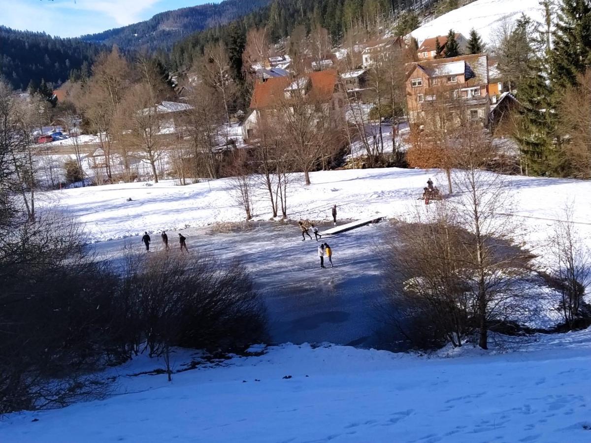 Ferienwohnung, Sauna & Gaestekarte Gratis Im Schwarzwald Baiersbronn Exterior foto