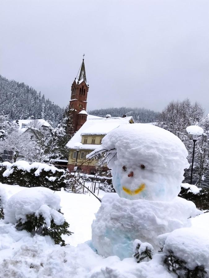 Ferienwohnung, Sauna & Gaestekarte Gratis Im Schwarzwald Baiersbronn Exterior foto