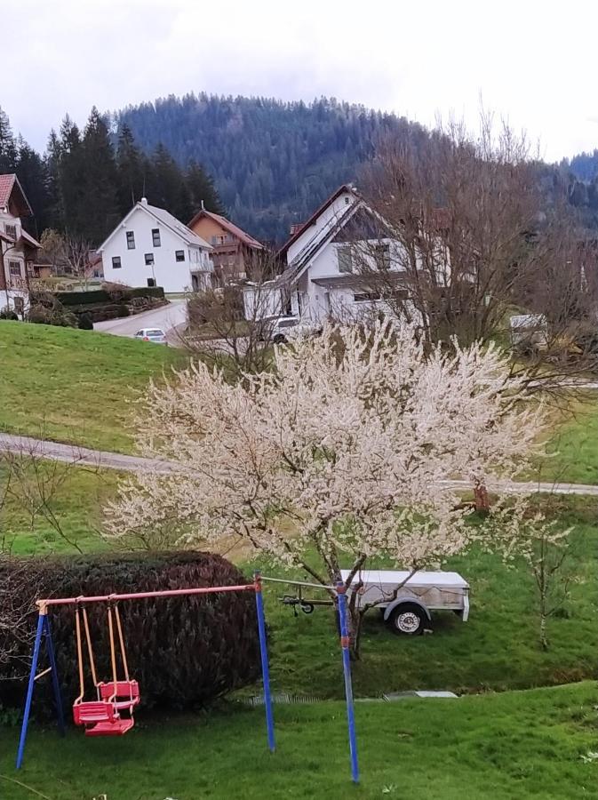 Ferienwohnung, Sauna & Gaestekarte Gratis Im Schwarzwald Baiersbronn Exterior foto